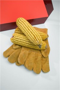New safety gloves available for professional knife users