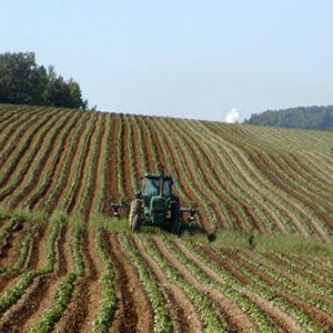 Union wants to see construction safety standards for farms