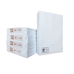Copier Paper White A4 (Box 5 Reams)